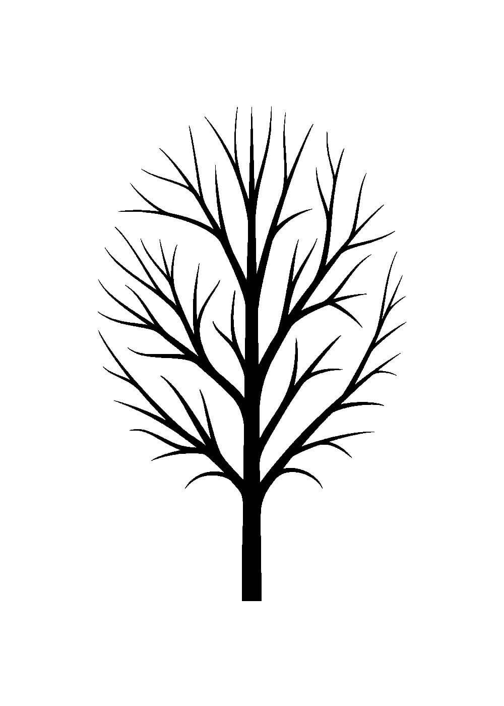 Силуэт дерева без листьев