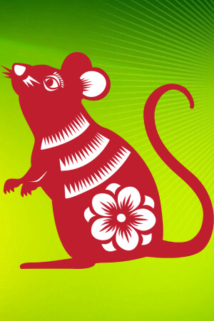 Трафареты на год Крысы Год Крысы