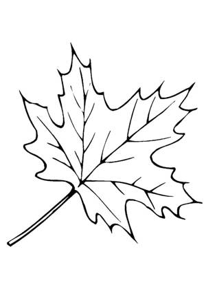 1 сентября − трафарет 16