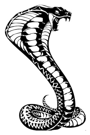 Для аэрографии на авто – трафарет 61