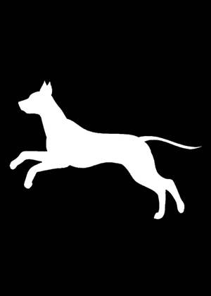 Год собаки − трафарет 14