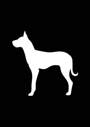 Год собаки − трафарет 20