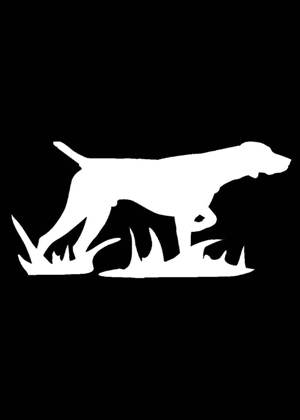 Год собаки − трафарет 21