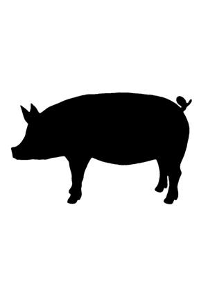 Год Свиньи − трафарет 10