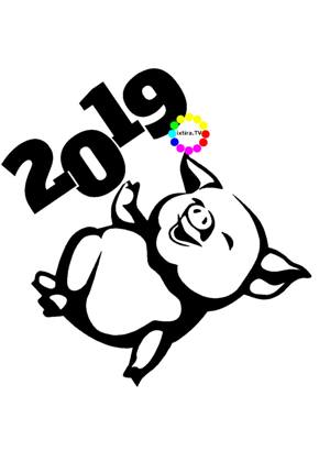 Год Свиньи − трафарет 16