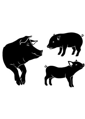 Год Свиньи − трафарет 9