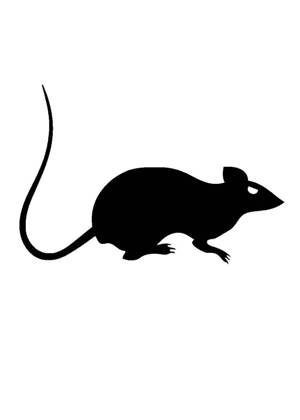 Хэллоуин − трафарет 11