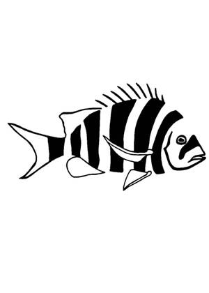 На холодильник − трафарет 10