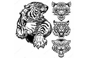 Трафареты Новый год Тигра Новый год Тигра − трафарет 15