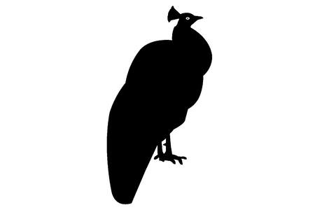 Павлин − трафарет 22