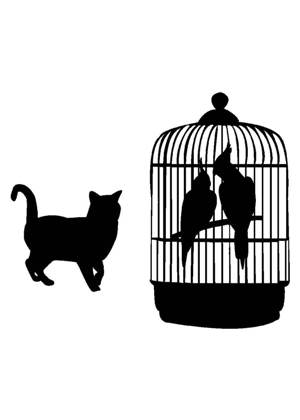 Попугаи − трафарет 1