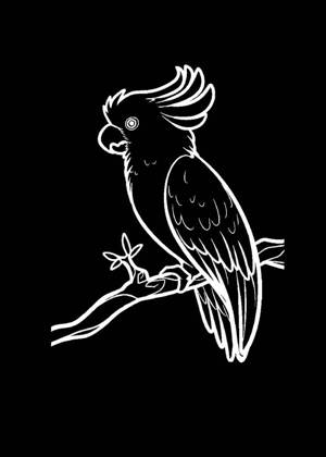 Попугаи − трафарет 10