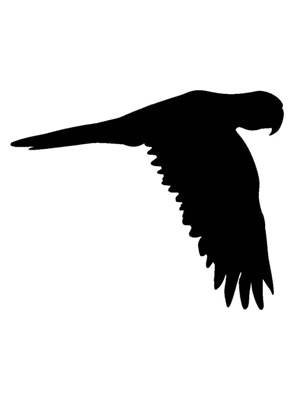 Попугаи − трафарет 12