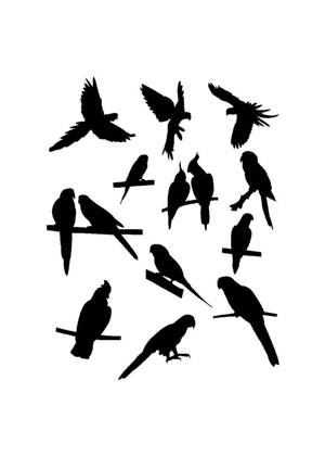 Попугаи − трафарет 18