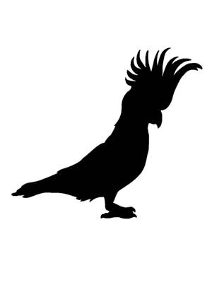 Попугаи − трафарет 22