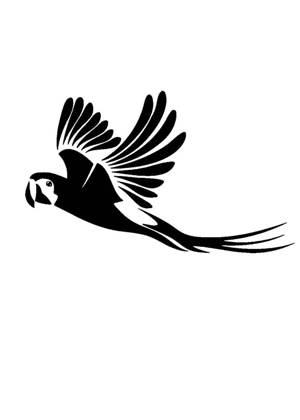 Попугаи − трафарет 3