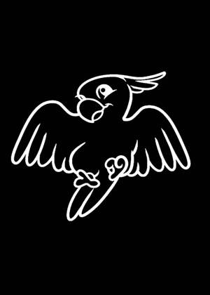 Попугаи − трафарет 4