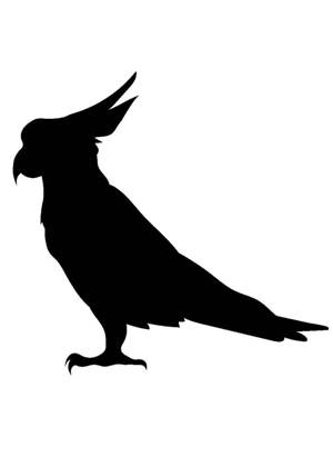 Попугаи − трафарет 5