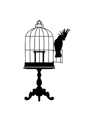 Попугаи − трафарет 6