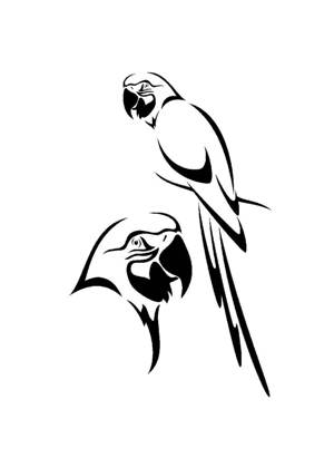 Попугаи − трафарет 8