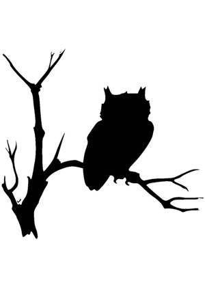 Совы − трафарет 7