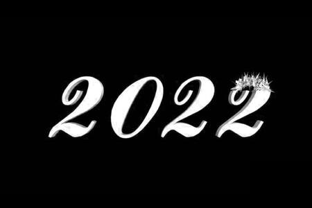 Трафареты Вытынанки Тигра на Новый Год 2022 Вытынанки Тигра на Новый Год 2022 − трафарет 25