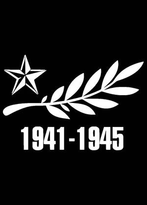 Вытынанки на окна к 9 мая 9 мая − вытынанка 14