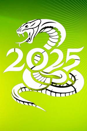 Картинки Ново 2025