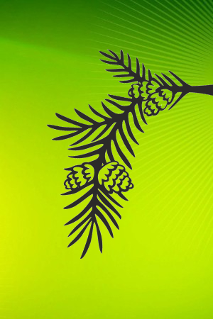 Трафареты Еловых Веточек Еловые Веточки