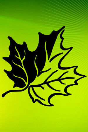 Трафареты листьев Листья