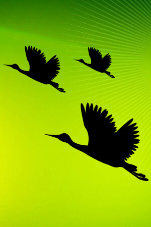 Трафареты Журавлей Журавли